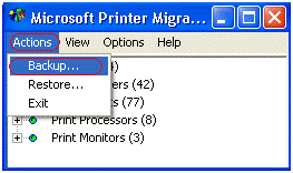 Backup Print Server